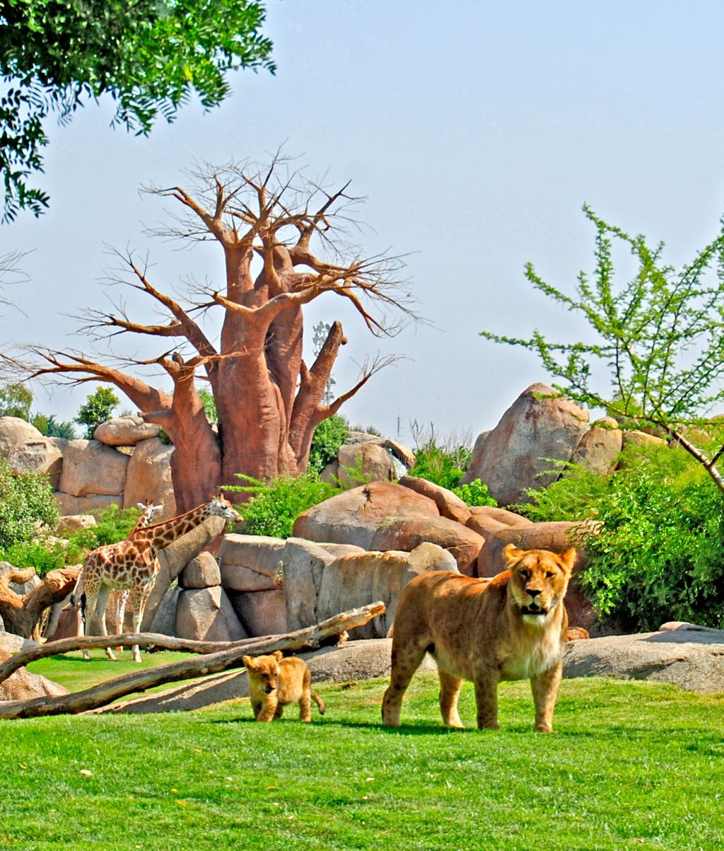 Bioparque de Valência
