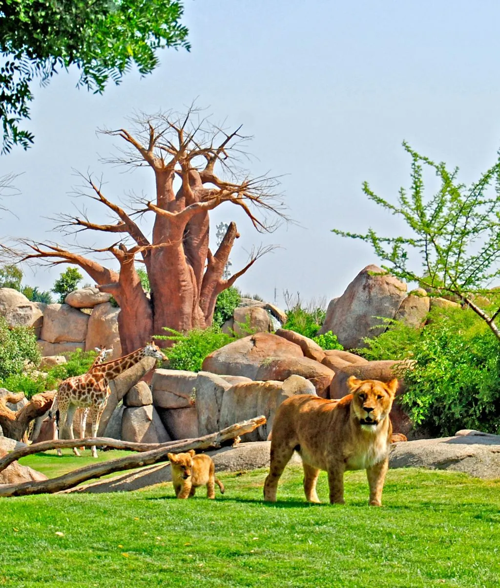 Bioparc Valencia