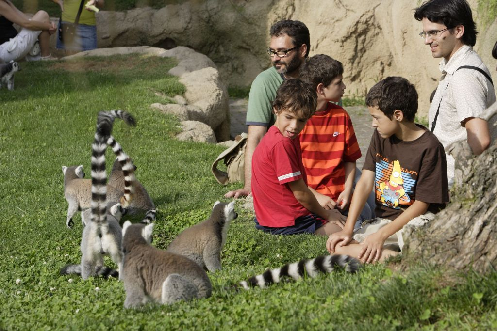 Bioparque de Valência