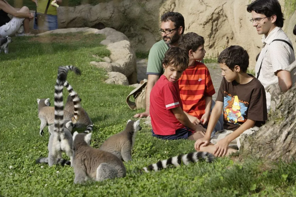 Bioparc Valencia