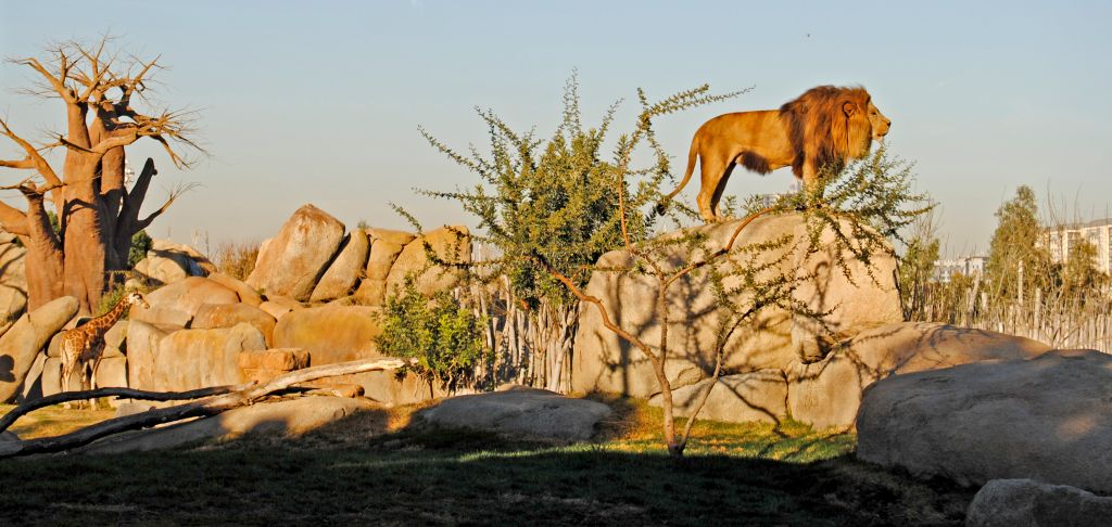 Bioparque de Valência