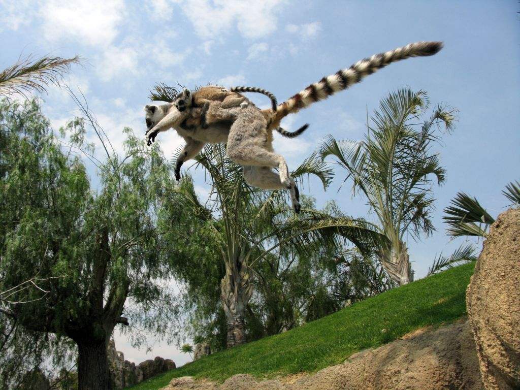 Bioparque de Valência
