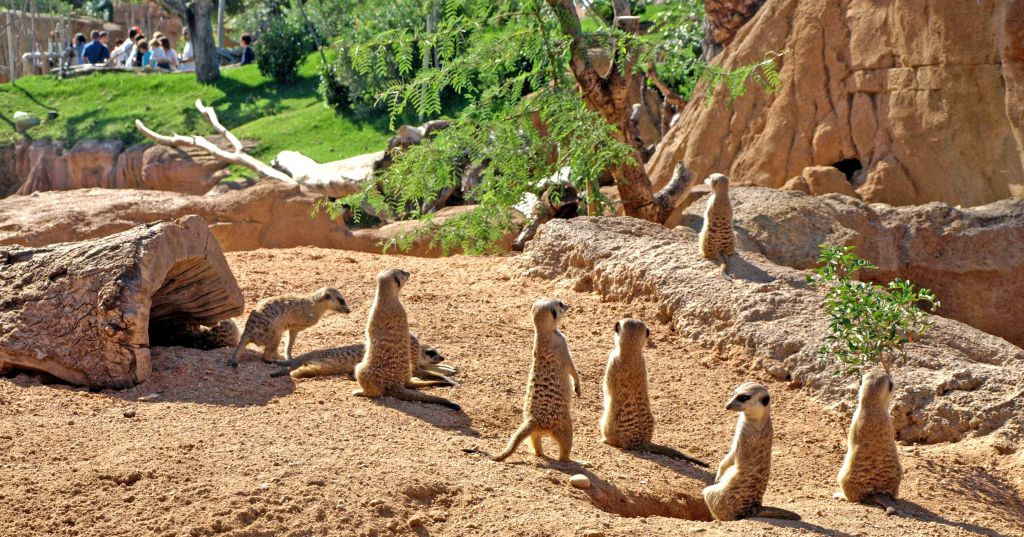 Bioparque de Valência
