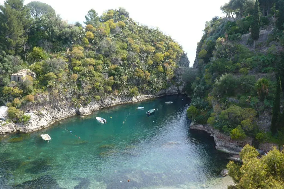 Isola Bella: Guided Boat Tour + Pastries & Drinks