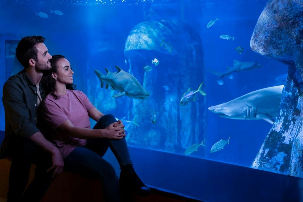 SEA LIFE London: bilhete de entrada