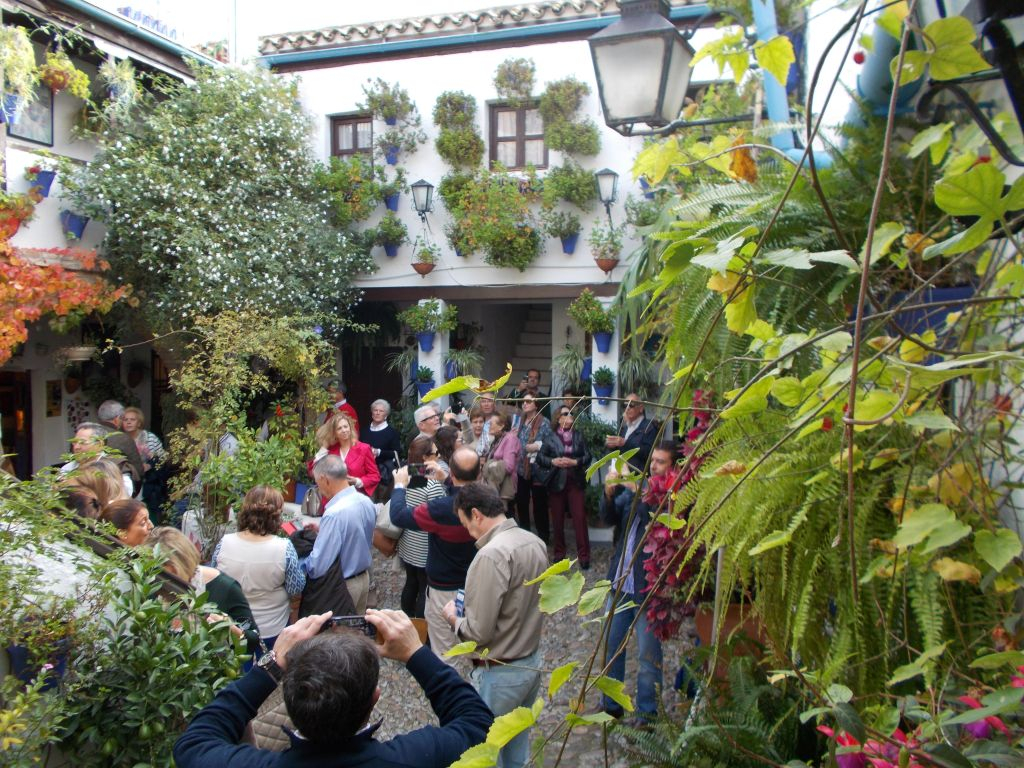 Patios de Córdoba: Guided Tour