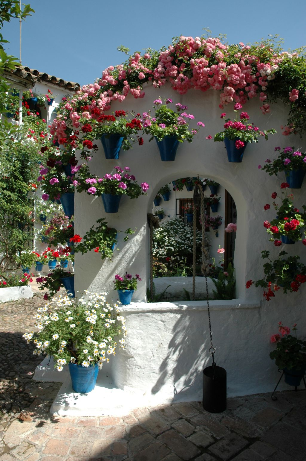 Patios de Córdoba: Guided Tour