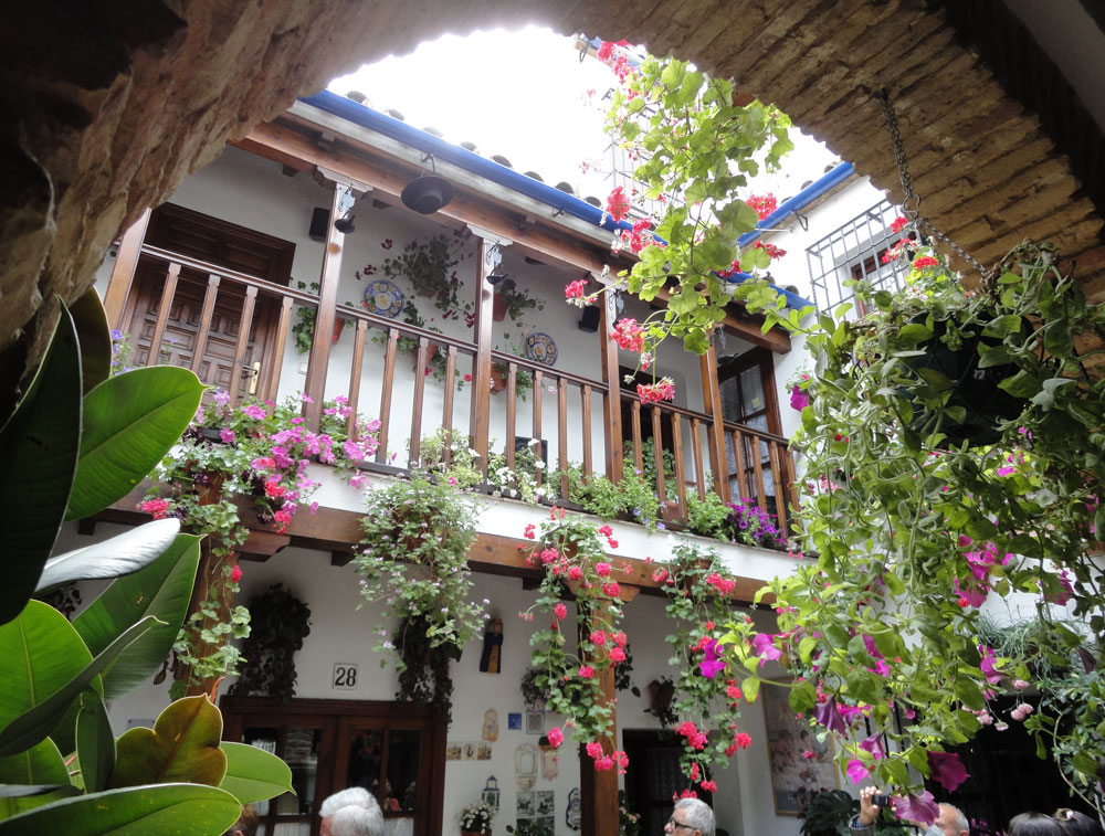 Patios de Córdoba: Guided Tour