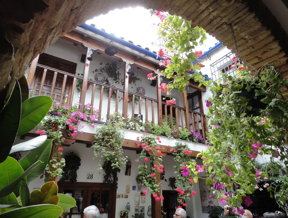 Patios de Córdoba: Guided Tour