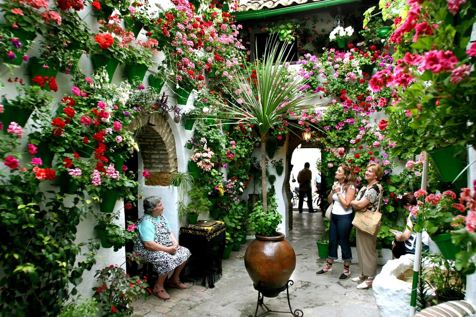 Patios de Córdoba: Guided Tour