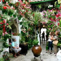 Patios de Córdoba: Guided Tour