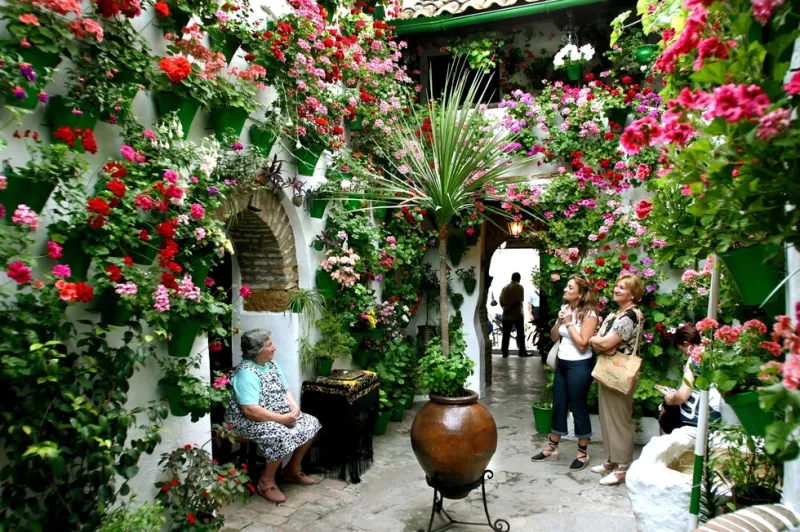 Patios de Córdoba: Guided Tour
