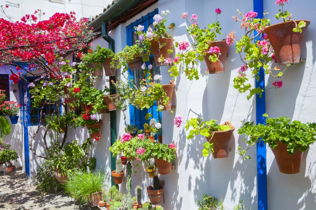 Patios de Córdoba: Guided Tour