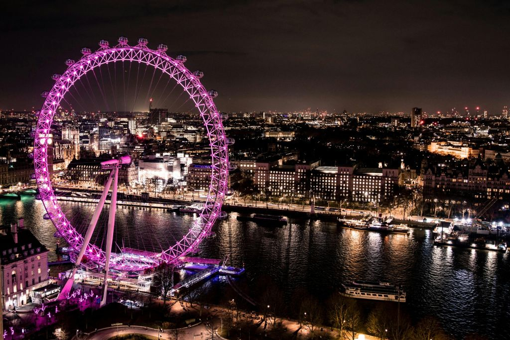 London Eye: Biglietto con accesso rapido