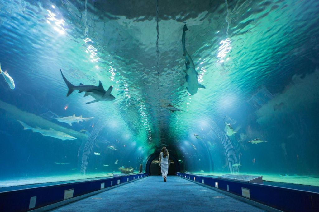 Valencia: Art & Science Pass