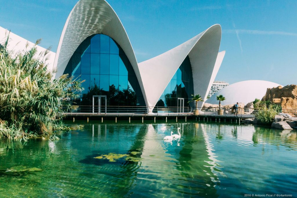 Valencia: Art & Science Pass