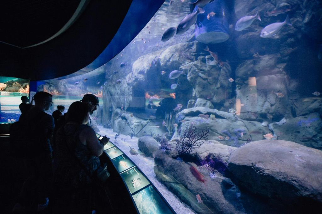 Valencia: Art & Science Pass