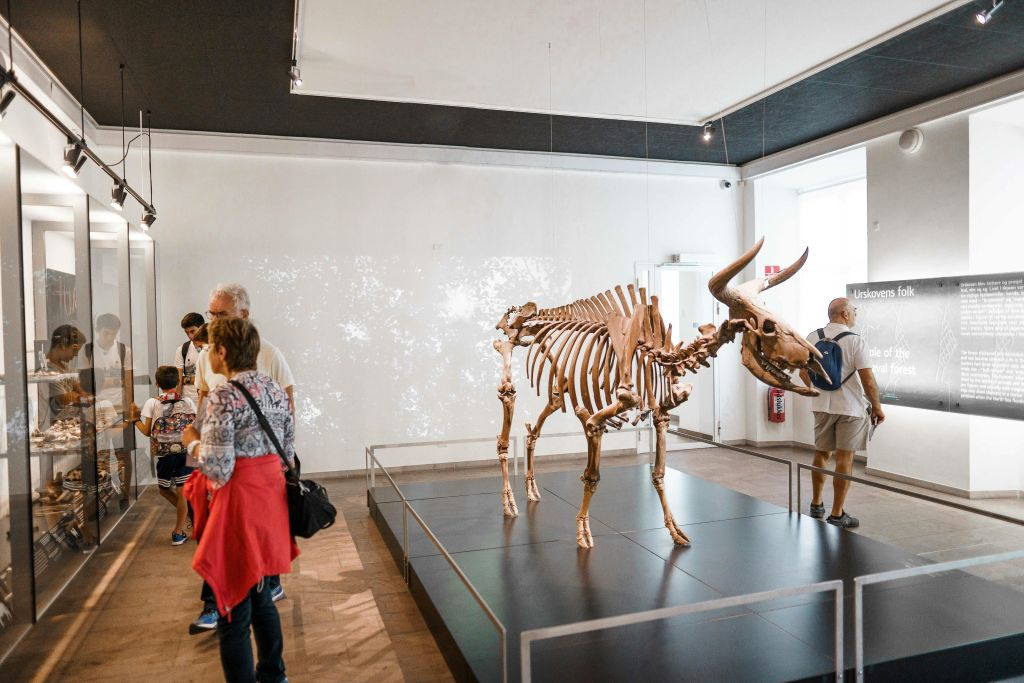 National Museum of Denmark: Entry Ticket