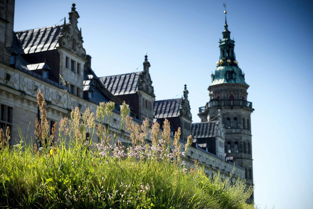 Kronborg Castle: Entry Ticket