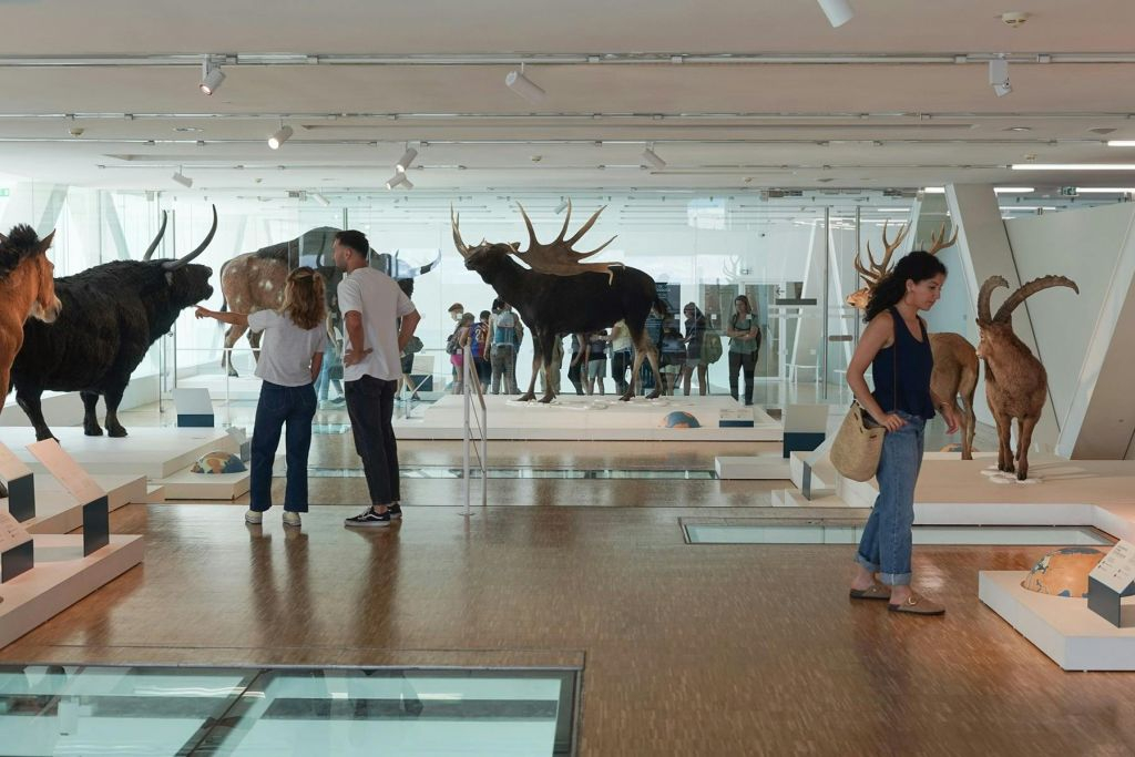 Marseille: Cosquer Cave Entry Ticket + City Audio Tour