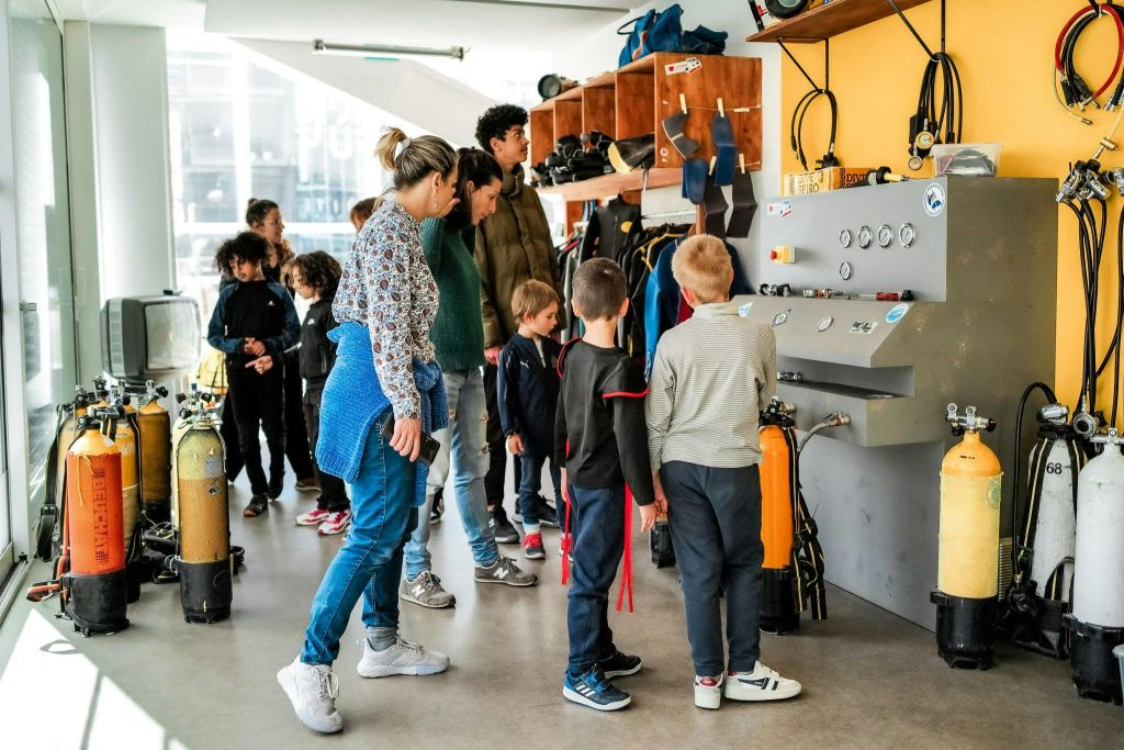 Marseille: Cosquer Cave Entry Ticket + City Audio Tour