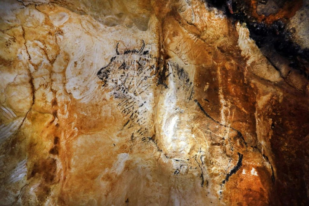 Marseille: Cosquer Cave Entry Ticket + City Audio Tour