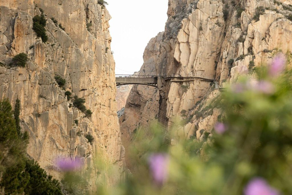 Caminito del Rey: Tour guidato in francese + Trasferimento con navetta di sola andata