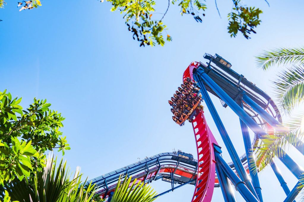 Busch Gardens Tampa: Entrada con Cola Rápida Opcional