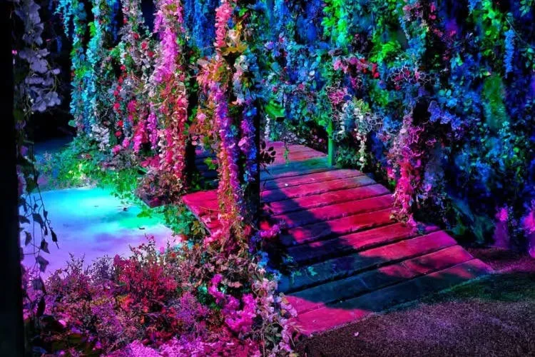Claude Monet - A Experiência Imersiva Antuérpia: bilhete de entrada
