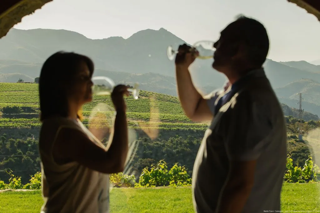 Martín Faixó | Sa Perafita: Visita guiada de la bodega con cata