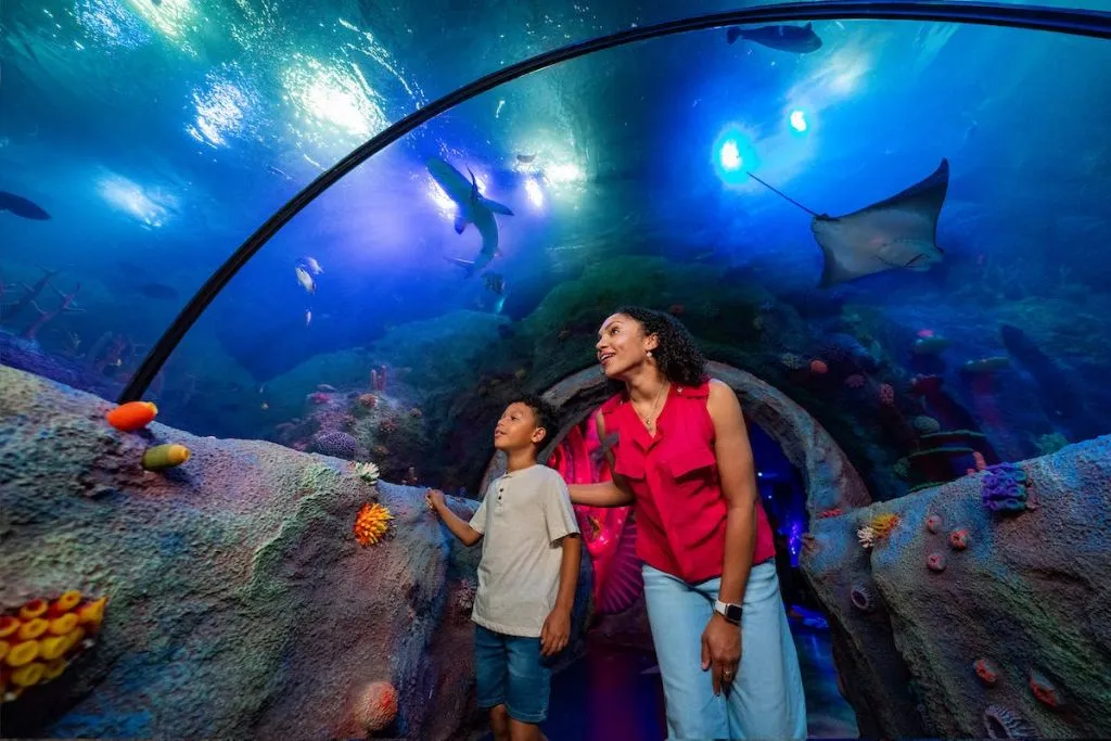 LEGOLAND® Florida Park