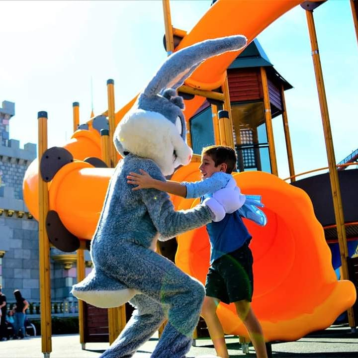 Six Flags México: Pase de un día