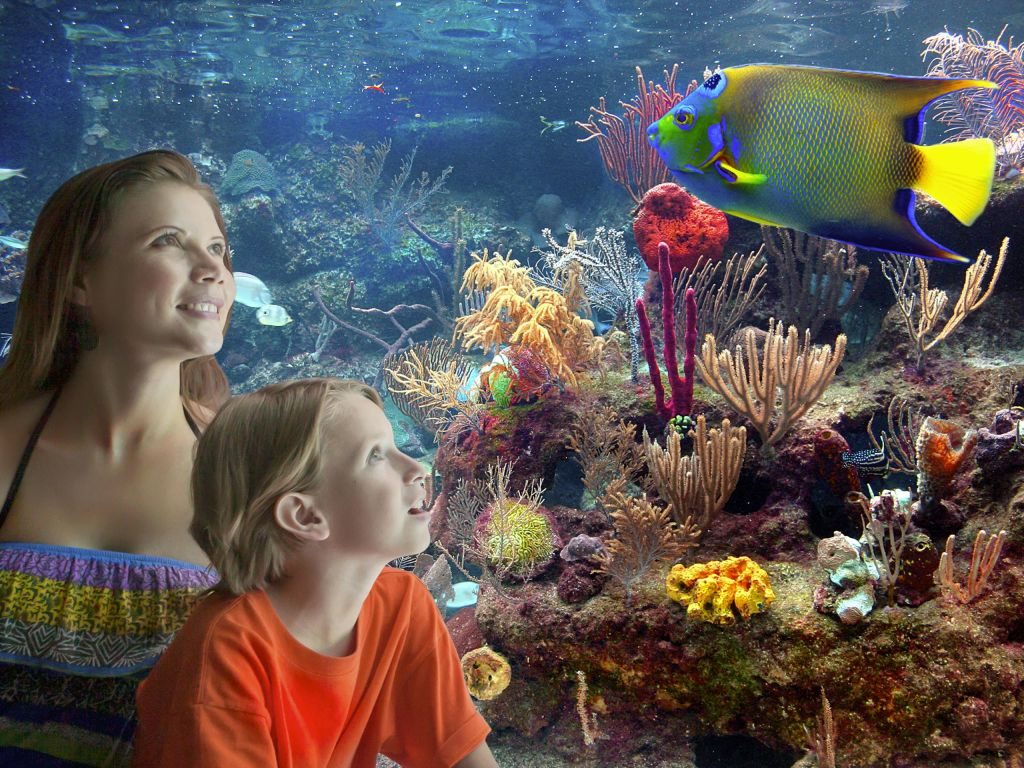 Xcaret Park: Entry Ticket