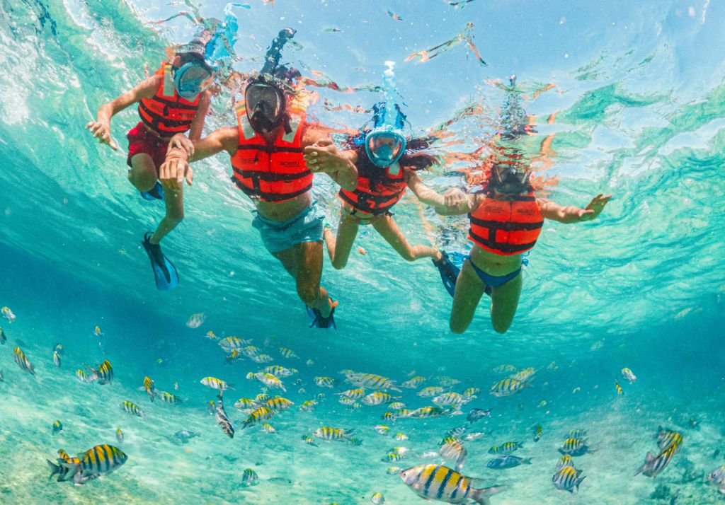 Xcaret Park: Entry Ticket
