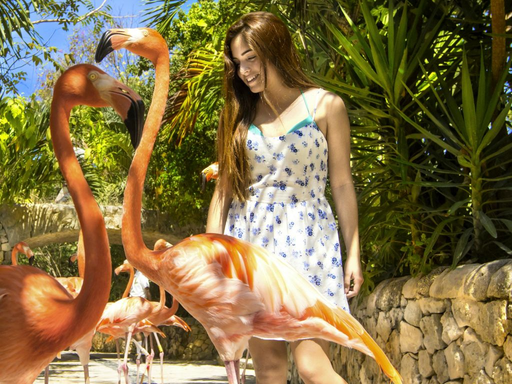 Xcaret Park: Entry Ticket