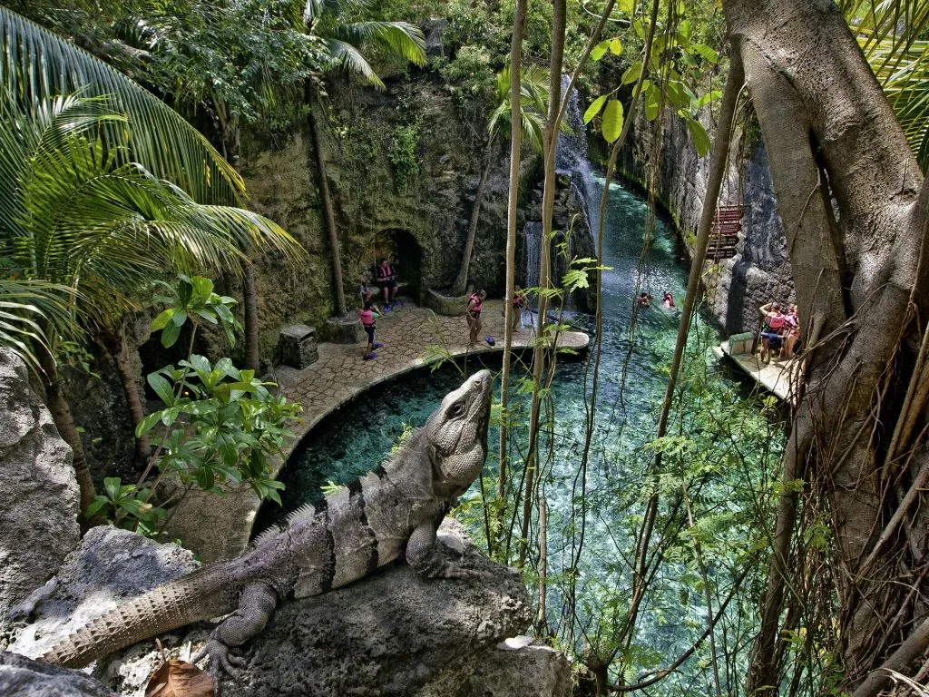 Parque Xcaret: Entrada