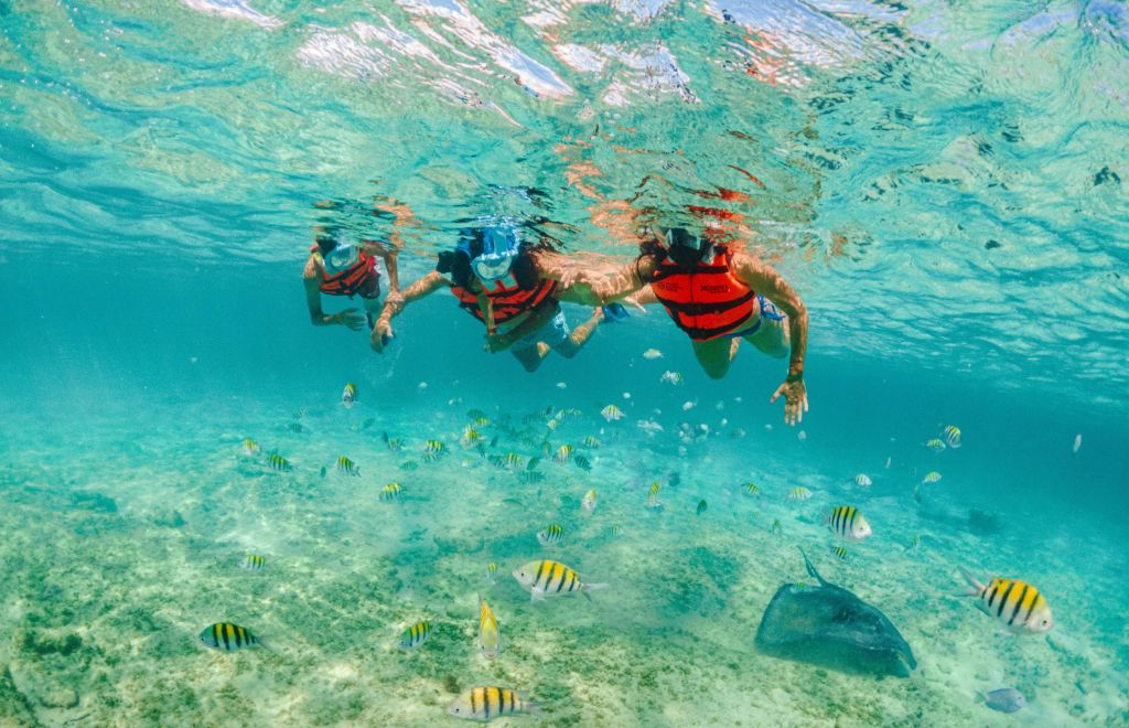 Xcaret Park: Entry Ticket