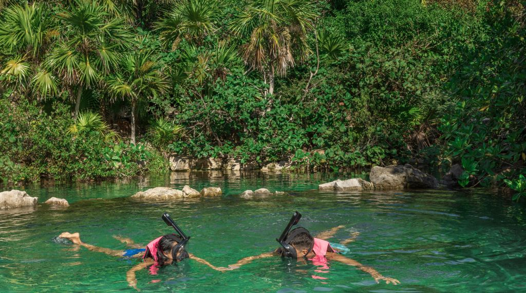Xcaret Park: Entry Ticket