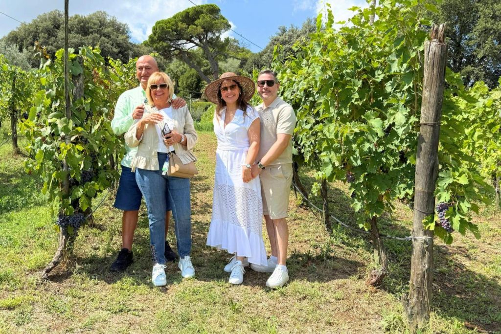 Toscana: Tour guidato del vino + degustazioni