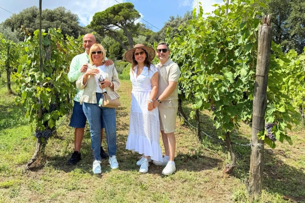 Toscana: Tour guidato del vino + degustazioni