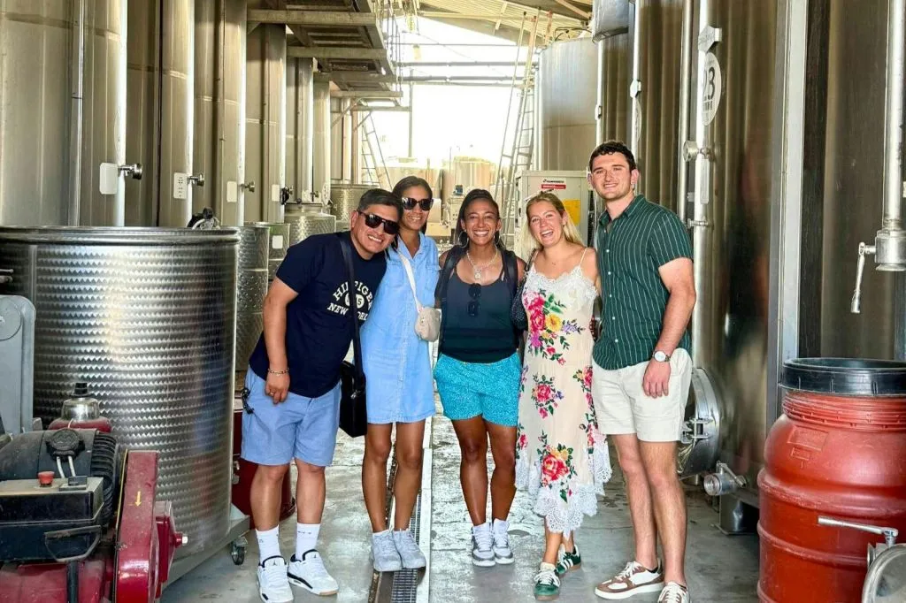 Toscana: Tour guidato del vino + degustazioni