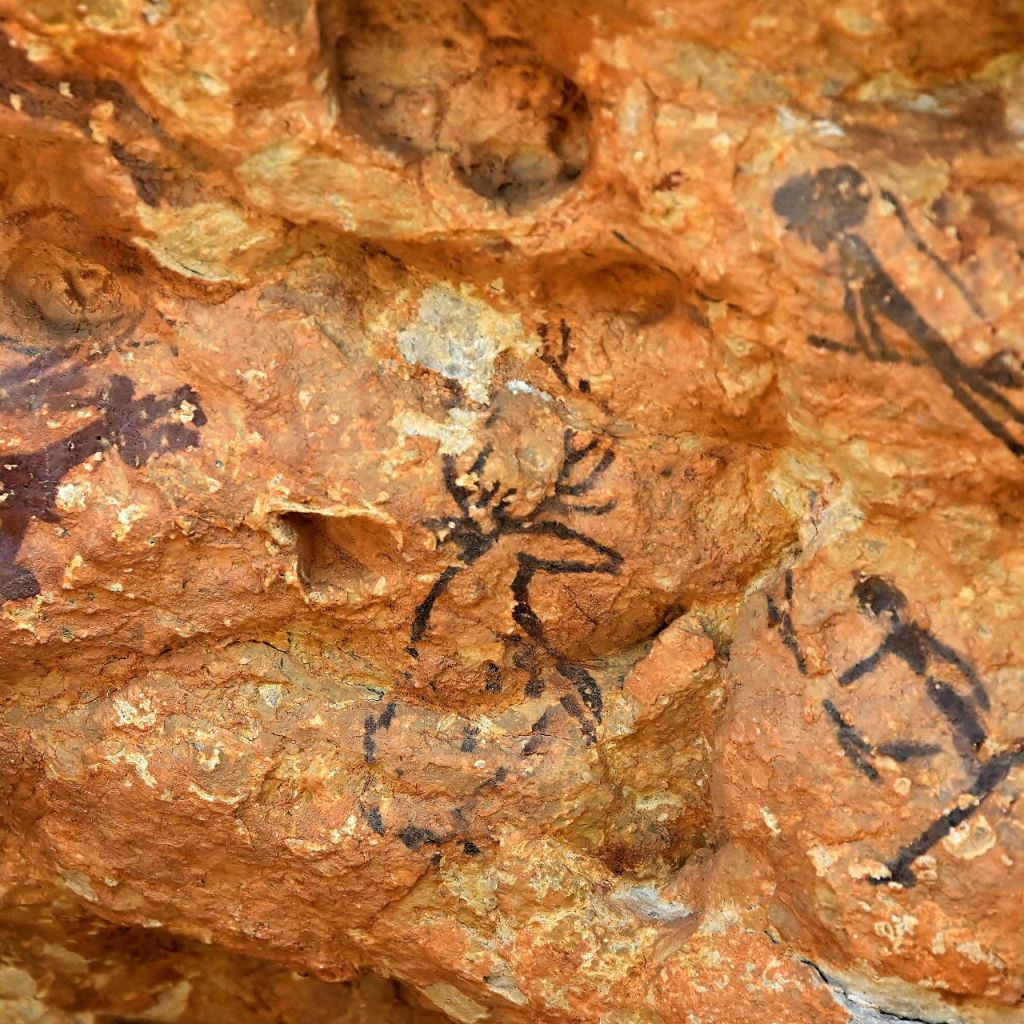 Cave Paintings of Ulldecona: Guided Tour