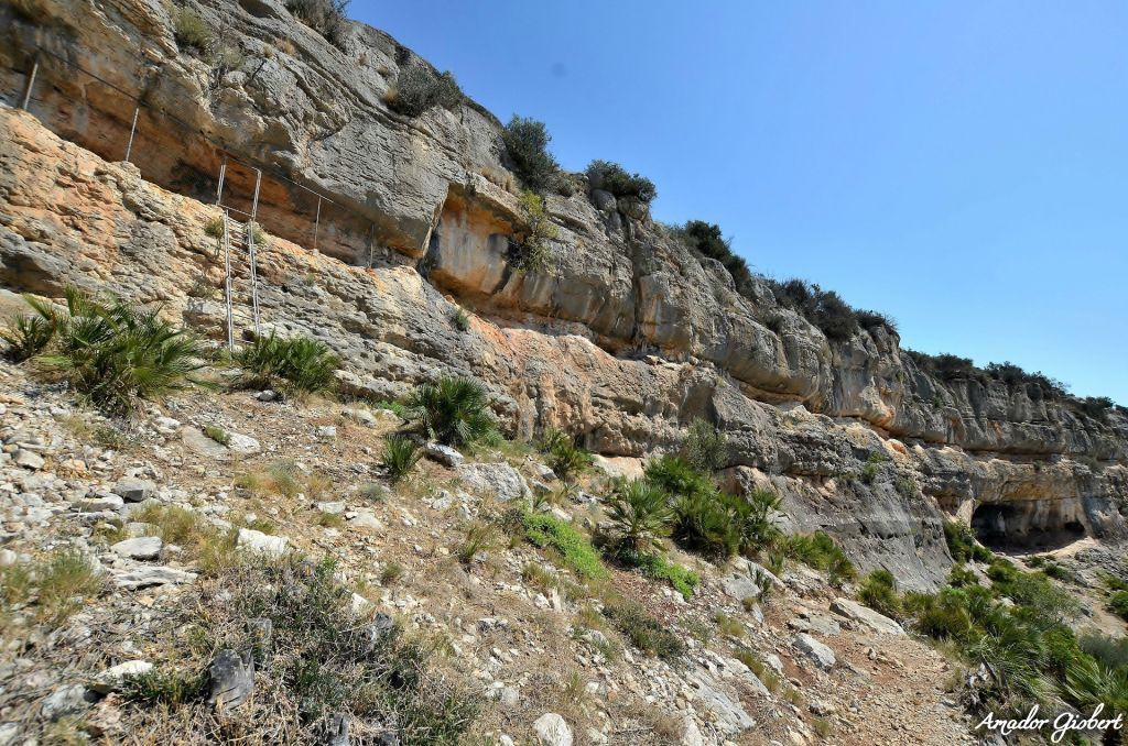 Cave Paintings of Ulldecona: Guided Tour
