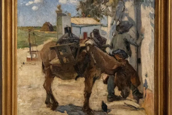 Museo Nacional Soares dos Reis: Entrada