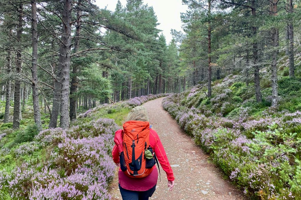 Scottish Highlands: Walking Tour from Edinburgh