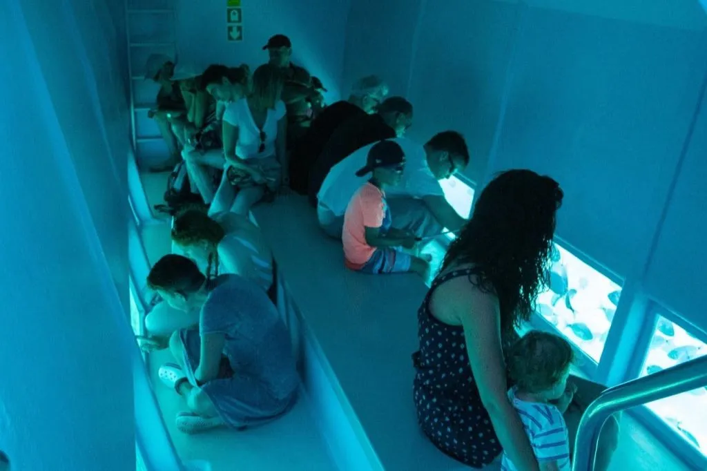 Illes Medes y L'Estartit: Paseo en barco desde Roses