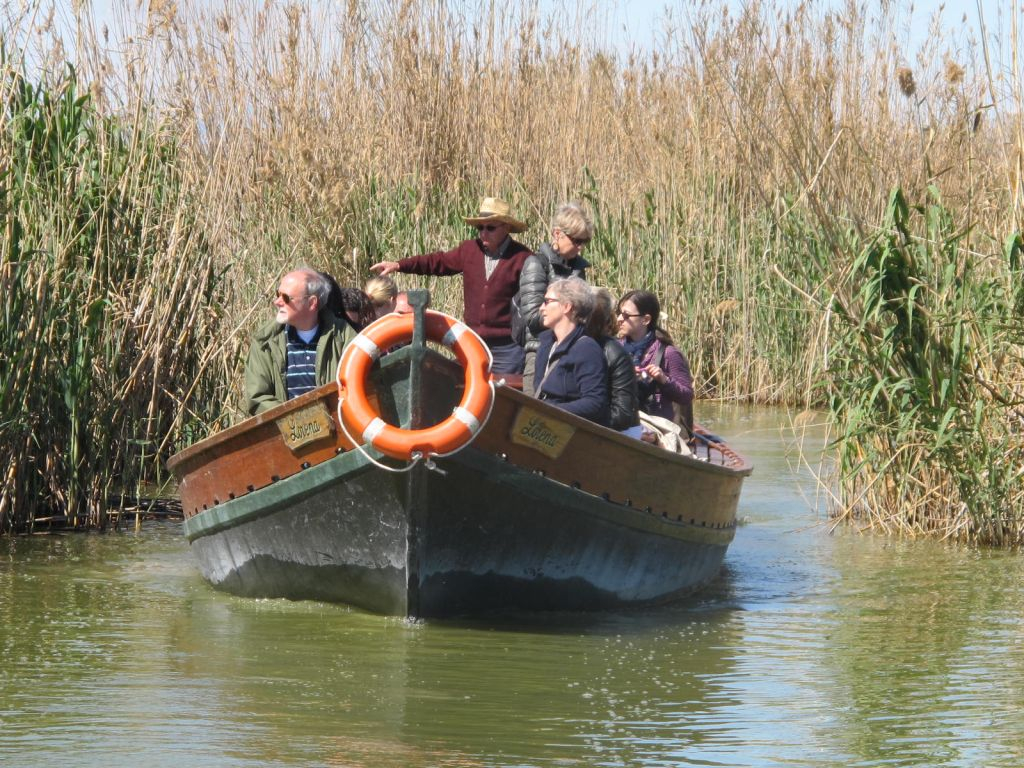 Albufera Bus & Boat from Valencia