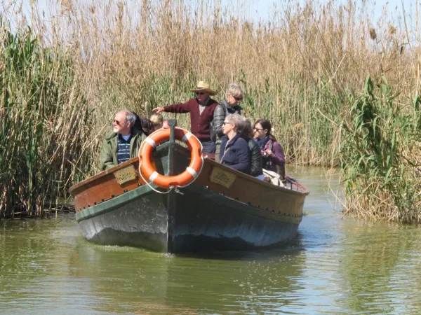 Albufera: Bus + Barco desde Valencia