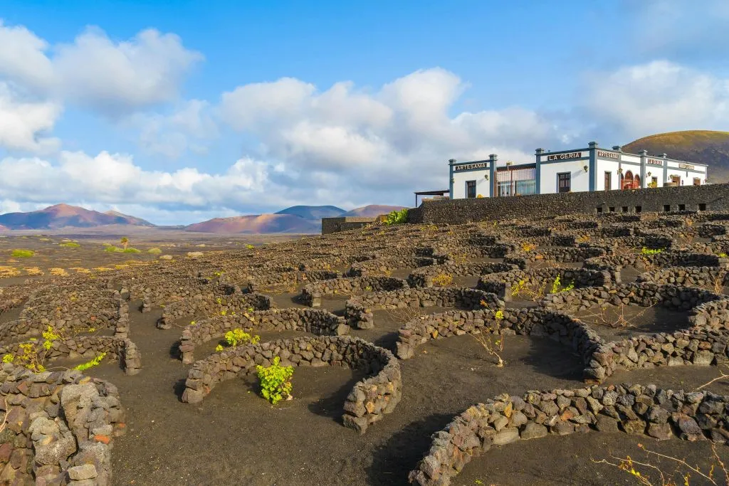 Lanzarote: Excursión Guiada desde Fuerteventura + Cata de Vinos