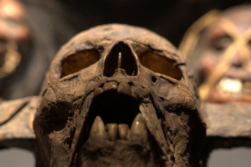 Dark Secrets - The Esoteric Exhibition London: Entry Ticket